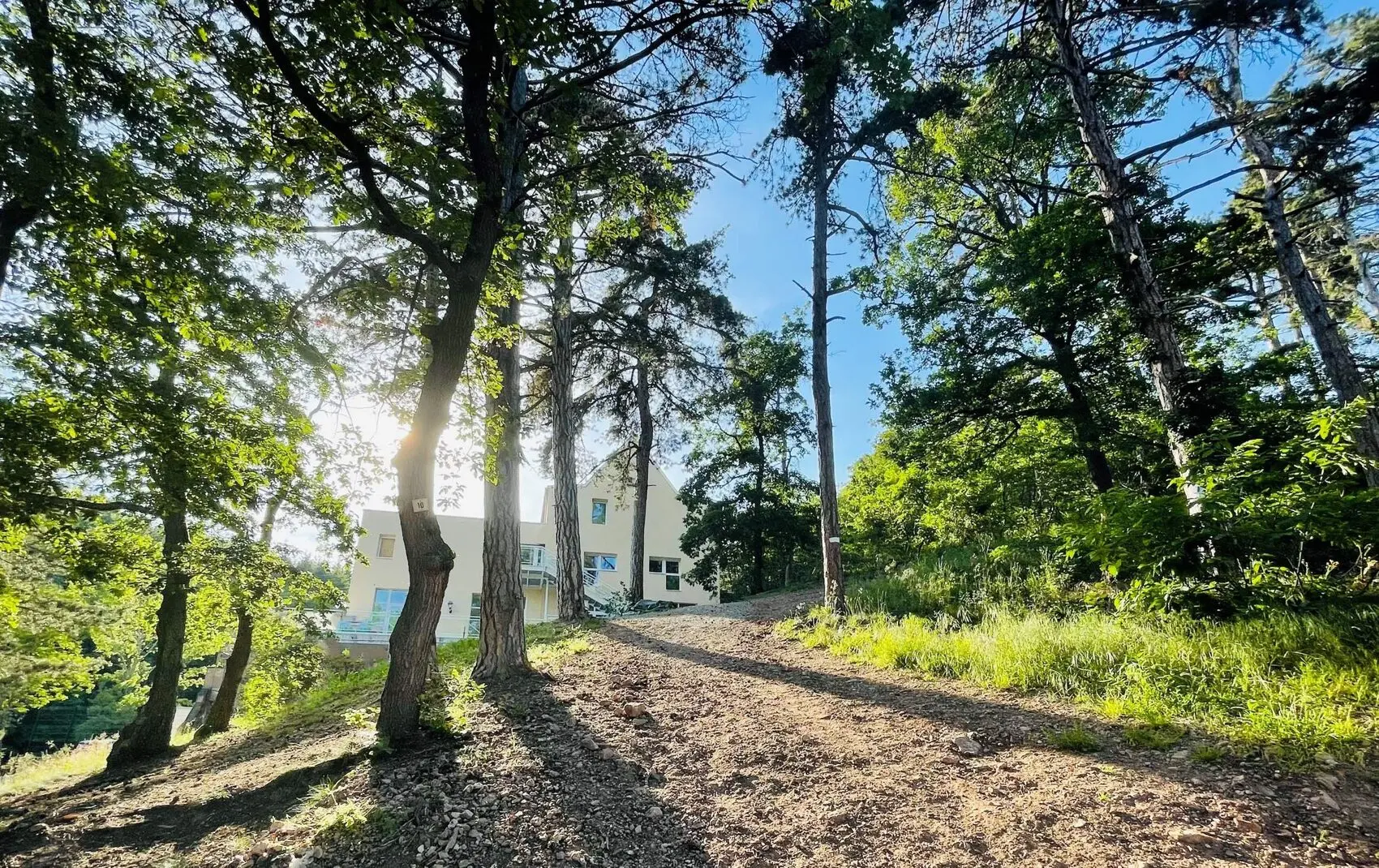 Sous-bois lumineux autour de l'hôtel
