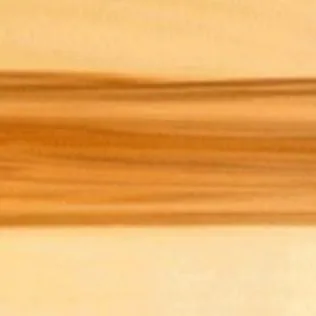 Échantillon de copalme